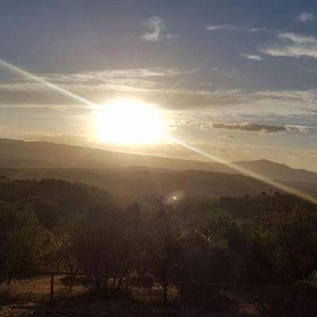 Casa Vacanza In Casale Vicino Orvieto Ficulle Exteriér fotografie