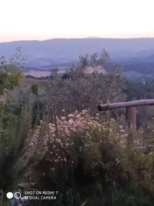 Casa Vacanza In Casale Vicino Orvieto Ficulle Exteriér fotografie
